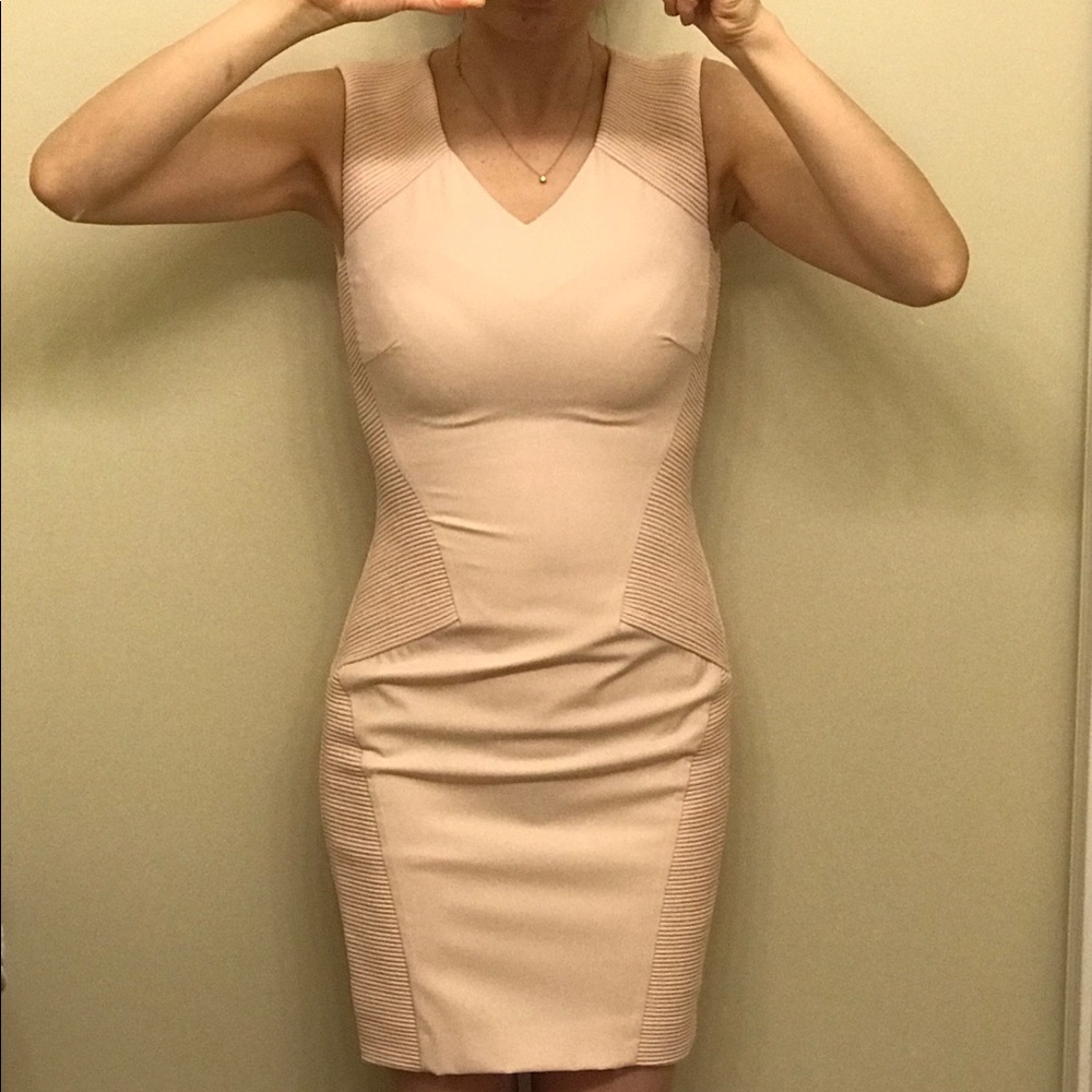 Pretty In Pink Reiss Elegant Cocktail Dress